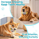 Durable Squeaky Dog Toy Washable TPR Egg Ball for All Dog Sizes - Bargain Harolds
