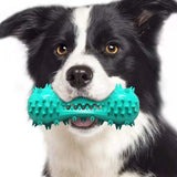 Dog Teeth Cleaning Toy Interactive Chew Toy with Serrated Teeth & Voice for Small to Medium Dogs