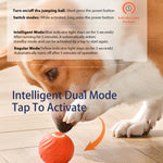 Interactive Bouncing Ball for Dogs Smart, Self Moving, Rechargeable Pet Toy with Noise - Reducing Cover - Bargain Harolds