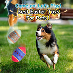 Durable Squeaky Dog Toy Washable TPR Egg Ball for All Dog Sizes - Bargain Harolds