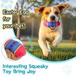 Durable Squeaky Dog Toy Washable TPR Egg Ball for All Dog Sizes - Bargain Harolds