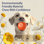 Interactive Bouncing Ball for Dogs Smart, Self Moving, Rechargeable Pet Toy with Noise - Reducing Cover - Bargain Harolds