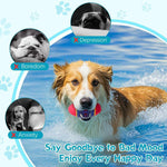 Durable Squeaky Dog Toy Washable TPR Egg Ball for All Dog Sizes - Bargain Harolds