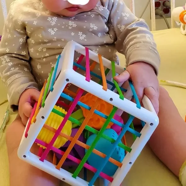 Montessori Toys Children 0-12 Months Early Education Rainbow Cesare Enlightening and Grasping Sensory Training Baby Toys Plastic — Montessori