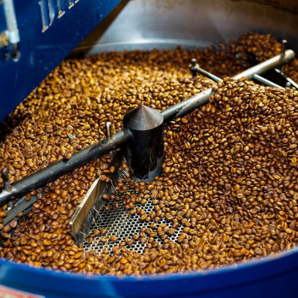 Cloud Forest Costa Rican Tarrazu Whole Bean Coffee - Medium Roast