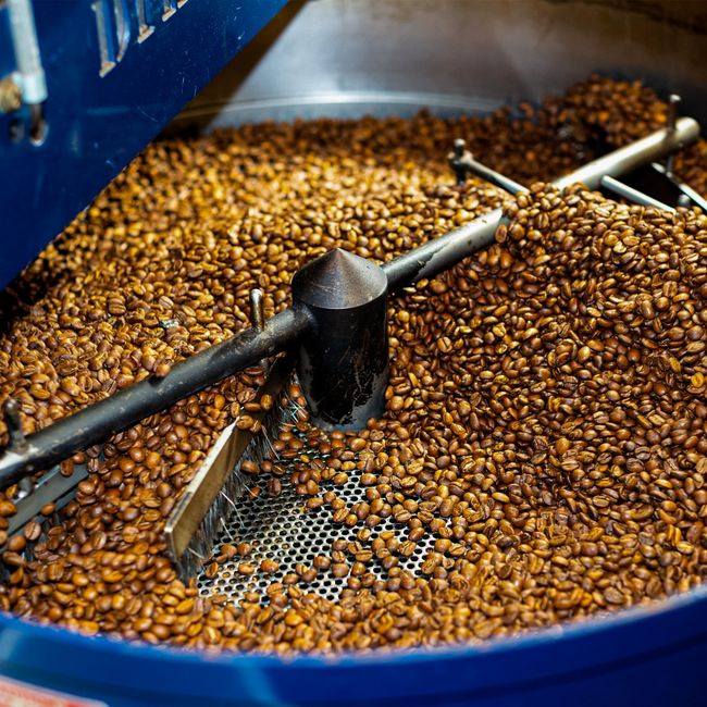 Cloud Forest Costa Rican Tarrazu Whole Bean Coffee - Medium Roast