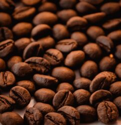 Safari Roast Kenyan AA Premium Arabica Coffee Beans - Medium Roast