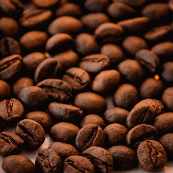 Safari Roast Kenyan AA Premium Arabica Coffee Beans - Medium Roast