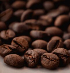 Mekong Brew Vietnamese Robusta Dark Roast Coffee - Dark Roast