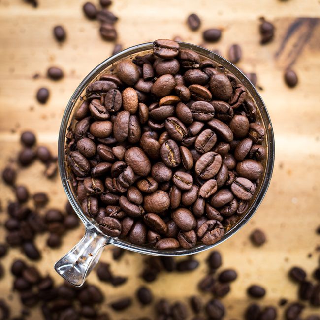 Cloud Forest Organic Fair Trade Arabica Coffee Beans - Medium Roast