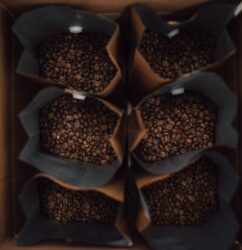 Highland Roast Panamanian Geisha Single Origin Coffee Beans - Light Roast