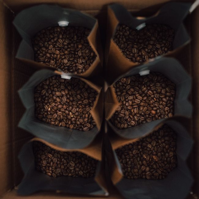 Highland Roast Panamanian Geisha Single Origin Coffee Beans - Light Roast