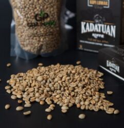 Island Peak Jamaican Blue Mountain Style Coffee Beans - Medium Roast
